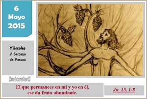 Miércoles V Pascua