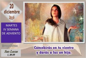 martes-iv-adviento