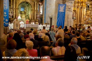 Peregrinacion Ancianos y Enfermos